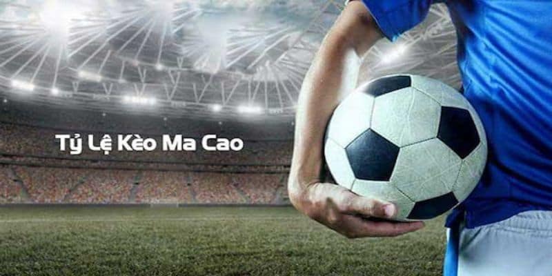 Kinh nghiệm cá cược với tỷ lệ kèo ma cao